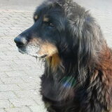 Foto van fabienne