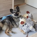 Gek op d`r knuffels!