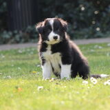 Foto van Angelique, Kleine Maybe en Tess <3