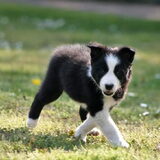 Foto van Angelique, Kleine Maybe en Tess <3