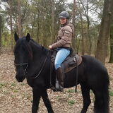 Foto van Dutchshepherdteam