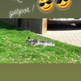 Foto van fabienne