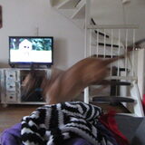 Foto van yooop