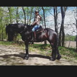 Foto van Dutchshepherdteam