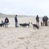 Foto van Dutchshepherdteam