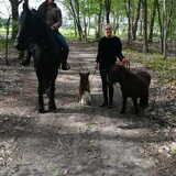 Foto van Dutchshepherdteam
