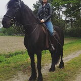 Foto van Dutchshepherdteam