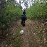 Foto van Dutchshepherdteam