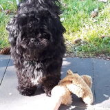 Foto van Annelies met  Sem
