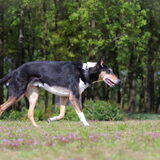 Foto van Naomi