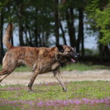 Foto van Naomi
