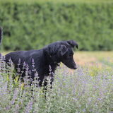 Foto van Naomi