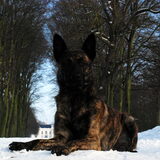 Foto van moniek de jager