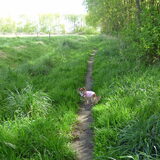 Een wandeling met Lotus.