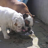 op een warme dag samen water drinken