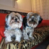 Sas en Kruum....