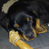 Roxy