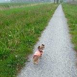 Wandelen met Lotus.