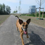Foto van yooop