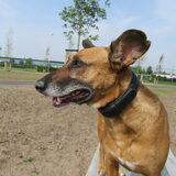 Foto van yooop