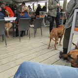 Foto van yooop