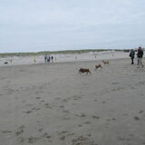 Foto van yooop