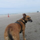 Foto van yooop