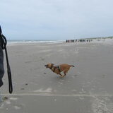 Foto van yooop