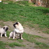 Estephanie with her son Nemo