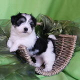 Foto van Xtine