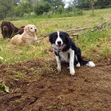 Foto van Jeanine :)