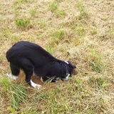 Foto van Jeanine :)