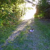 Wandelen.
