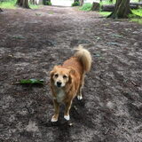 Foto van anja met Bobby(r.i.p. 25-9-25)