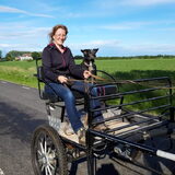 Foto van Ciska en Spanjaardje Moh (Bambi r.i.p.)