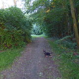 S'morgens vroeg met Balou.