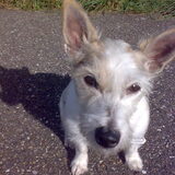 mylo!