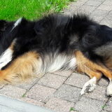 Foto van Kath