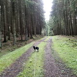 Foto van Ciska en Spanjaardje Moh (Bambi r.i.p.)