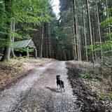 Foto van Ciska en Spanjaardje Moh (Bambi r.i.p.)
