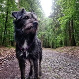 Foto van Ciska en Spanjaardje Moh (Bambi r.i.p.)