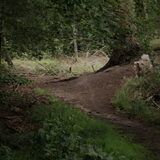 Foto van Danielle, Kyra*Kaylin*, Djaira en Djaidey