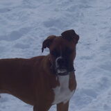 Foto van janneke willems