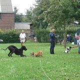 spelen