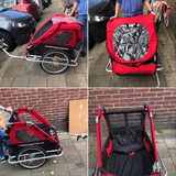 Foto van Sigrid, Sandy, Diva & Nala
