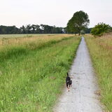 Foto van Marga en de honden Balou R.I.P., Lotus en kat Nemo.