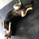 Foto van lyanne