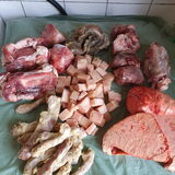 Foto van Dutchshepherdteam