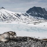 Foto van Alaska's Finest!