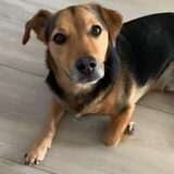 lieve Noah